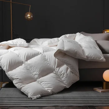 Couettes ultralégères en duvet d'oie ultralégères de qualité 5A, haut de gamme, pour king queen, taille pour l'automne et l'hiver, nouveauté 2023 1