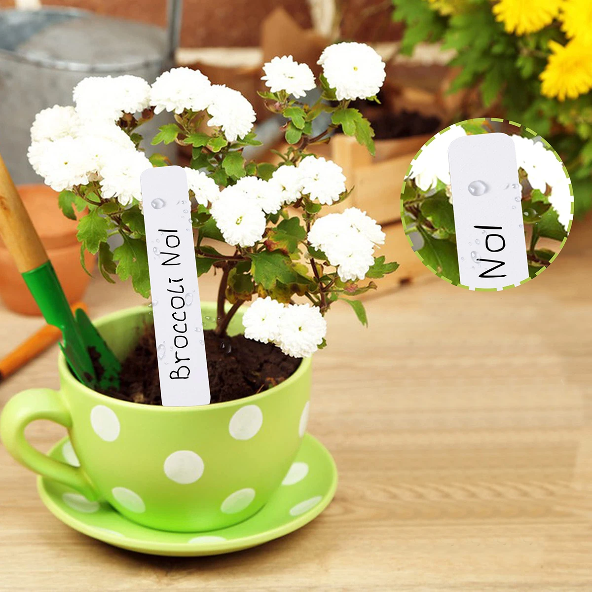 Plant Markers 100Pcs Set Plastic Plant Labels Name Tags for Seedlings Garden Labels Nursery Tags Seed