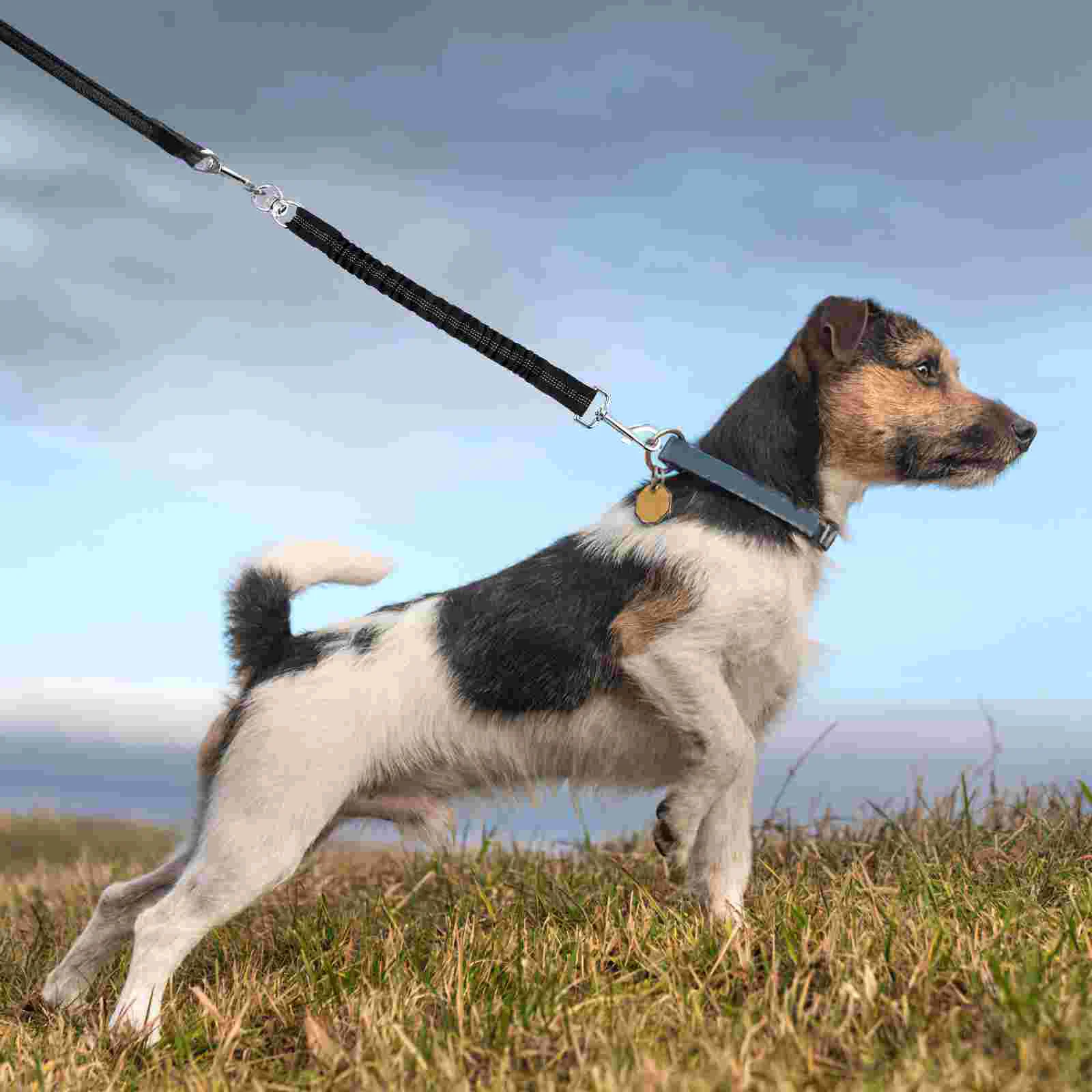 Walk Pet Elastic Rope Dog Walking Extension Leash Puppy Medium Indestructible Toys pet leash set,dog traction rope