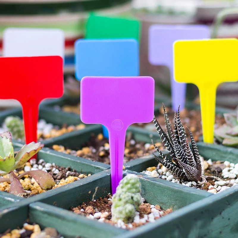 50PCS Plant Markers High Quality Plastic PP Colored Markers For Plants Flower New Waterproof Marker Labels Garden Plant Name Tag ceramic pots near me