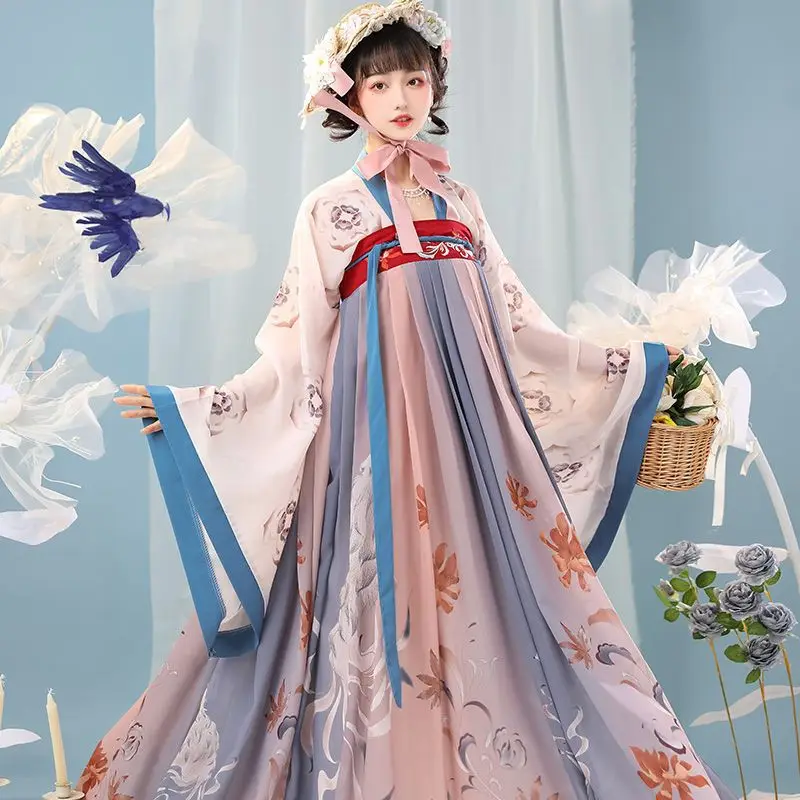 

Elegant Chinese Style Hanfu Embroidery Chest Skirt Tang System Hanfu Female Stage Performance Cosplay Skirt