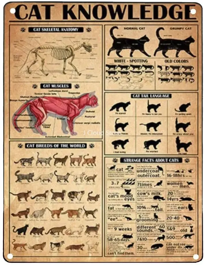 

Retro Metal Signs Funny Cat Knowledge Tin Sign No Frame Cat Breeds Wall Art Kitten Guide Facts About Cat Lover Gifts