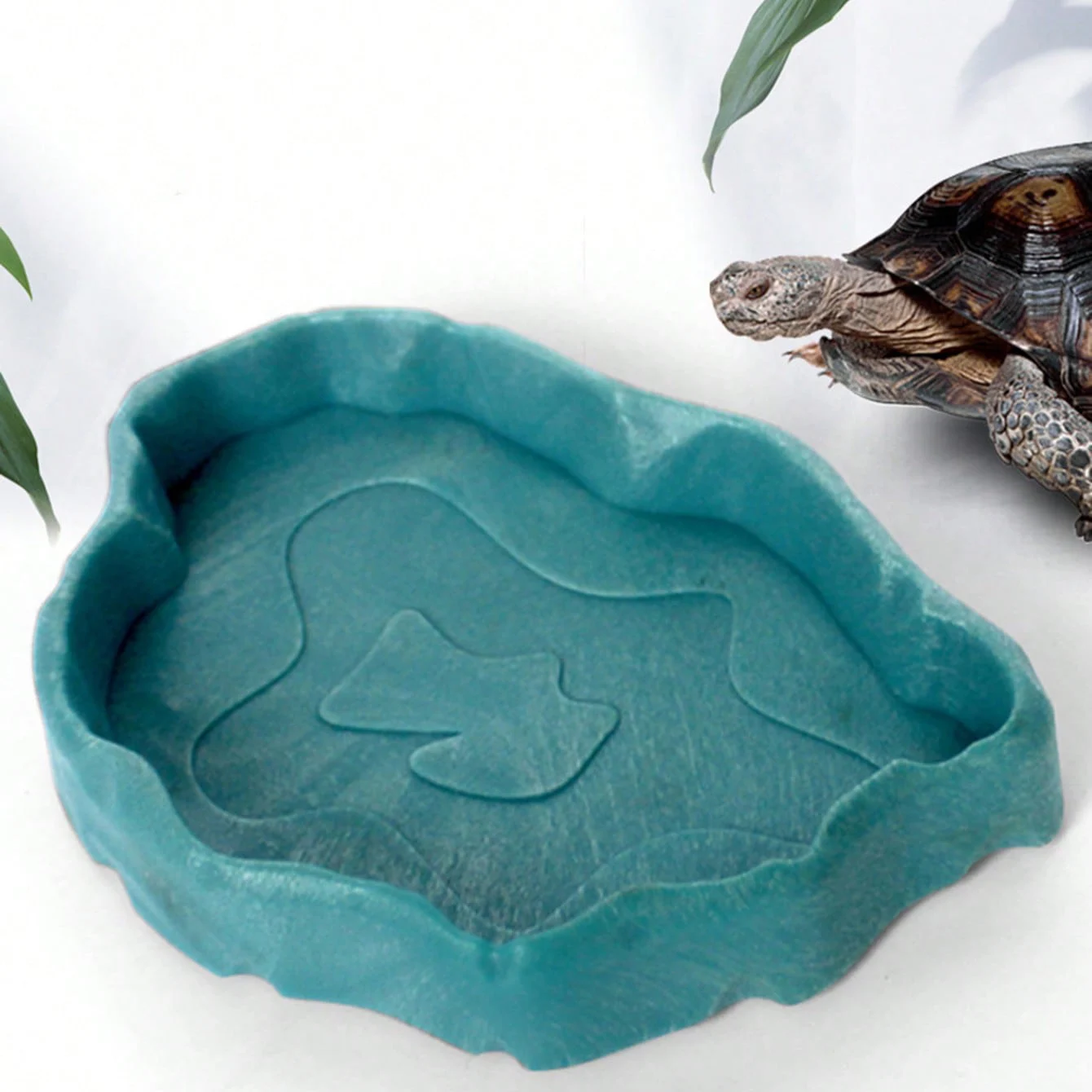 Versatile Small Reptile Feeding & Bathing Dish For Lizards, Turtles