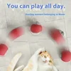 Cat Interactive Ball Toy Automatic Rolling Ball Faux Tail Rechargeable Pet Electric Toy Dog Cat Training Imitate Mouse Plush 4