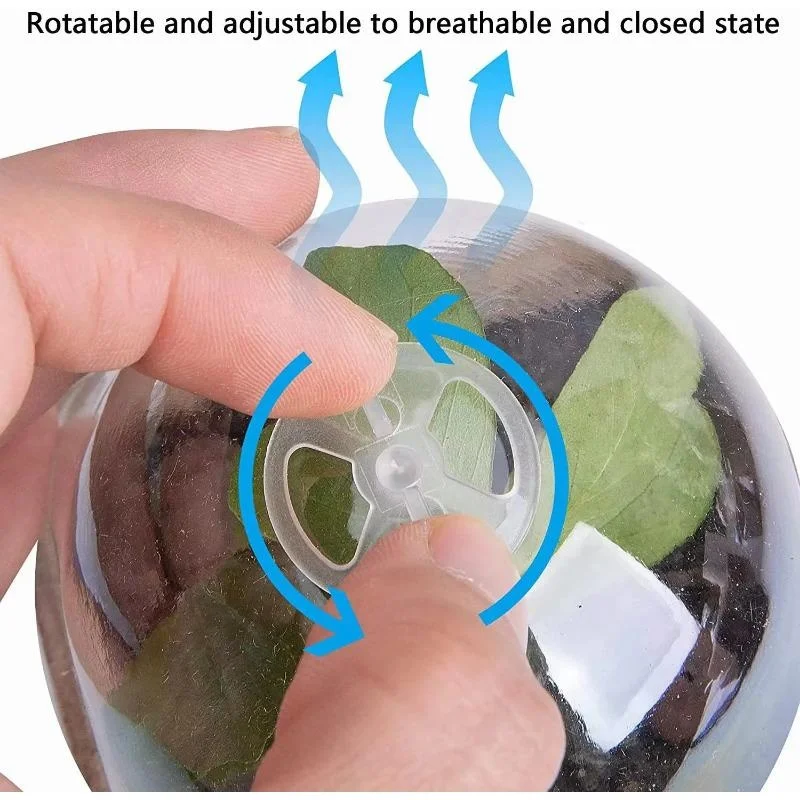 Seed Seedling Pulp Cup Biodegradable Circular Seedling Pot Disposable Nursery Nutrition Cup Horticultural Garden Plant GrowthCup