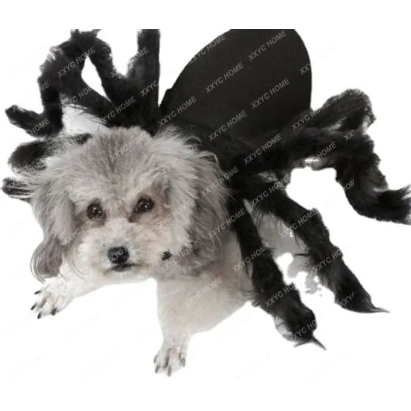Spider Halloween Pet Costume 1