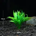 Lucky bamboo 14cm