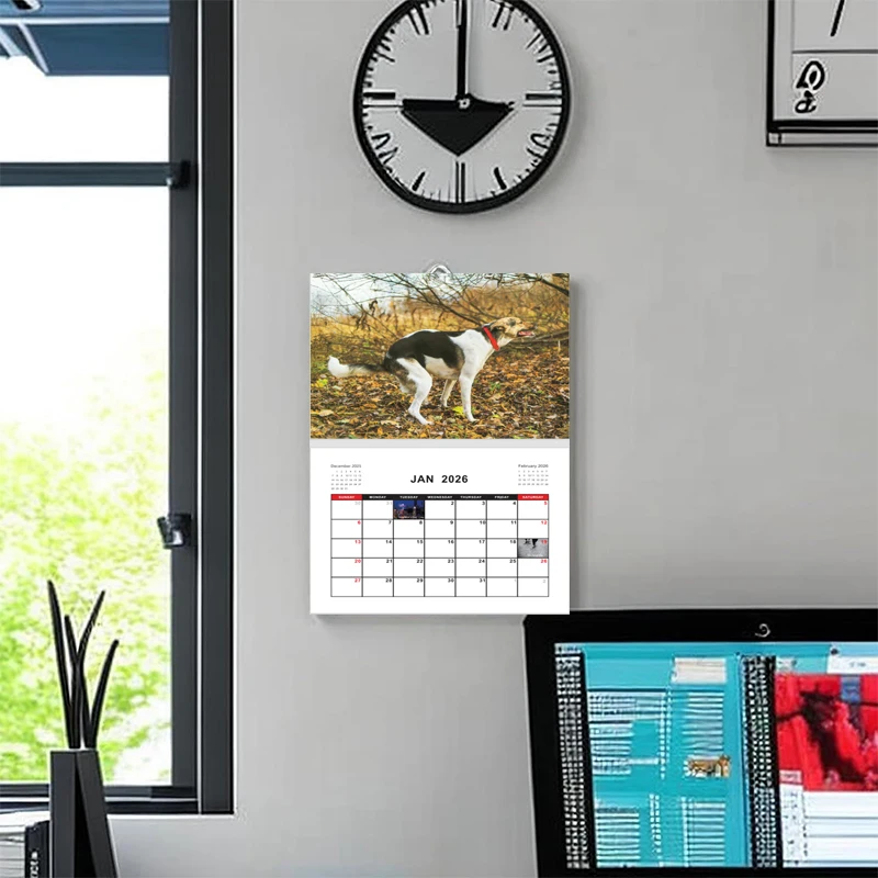 2026 Puppy Wall Calendar Valid Until June Small Easy-to-plan Calendar Perfect for Hanging on Walls Tables and Notice Boards