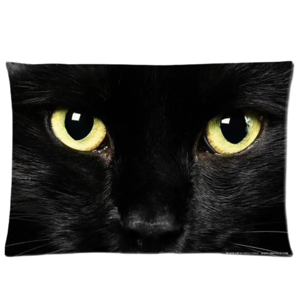 

Black Cat Face Printed Pillow Case Roomy Rectangle Home Bed Zippered Soft Throw Pillow Cover 20x30 (Twin Sides)