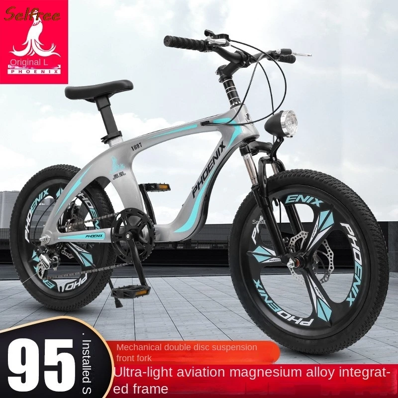 Selfree Magnesium Alloy One-piece Wheel Shifting Mountain Bike Big