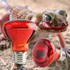 25W 40W 50W 60W 75W 100W E27 Poultry Heating Bulb Infrared Insulation Heating For Reptiles Plants Amphibians Pets Livestock Lamp 2