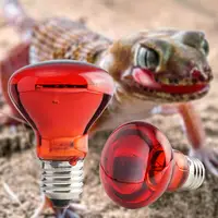 25W 40W 50W 60W 75W 100W E27 Poultry Heating Bulb Infrared Insulation Heating For Reptiles Plants Amphibians Pets Livestock Lamp 2