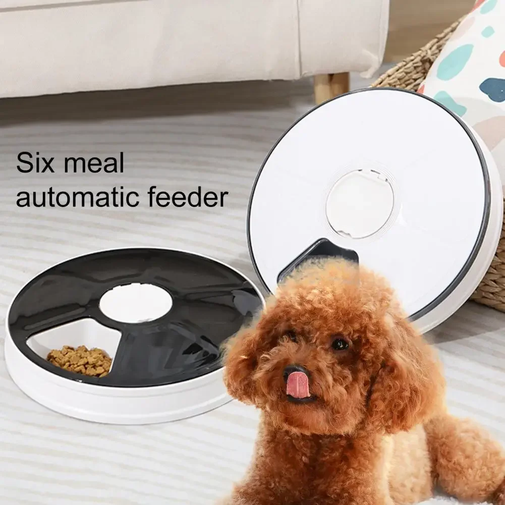 

Recorder Pet Rabbit Grids Feeder Bowl Dry Timing Puppy Automatic Timer Round Cat Dog With Wet Tra 6 Voice Food Supplies 24h