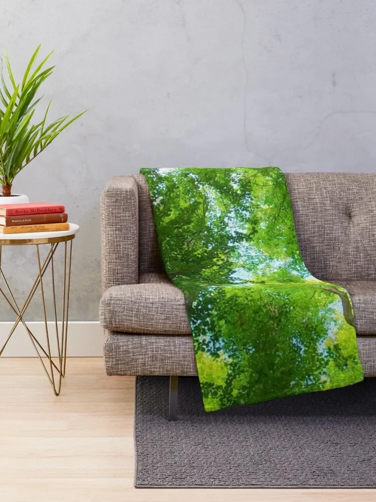 ��� �� ���� �ձ� �Ƹ��ٿ� ������ ������ ���, �̱� ħ�� ����, ���� �ε巯�� ��Ƽ�� ���