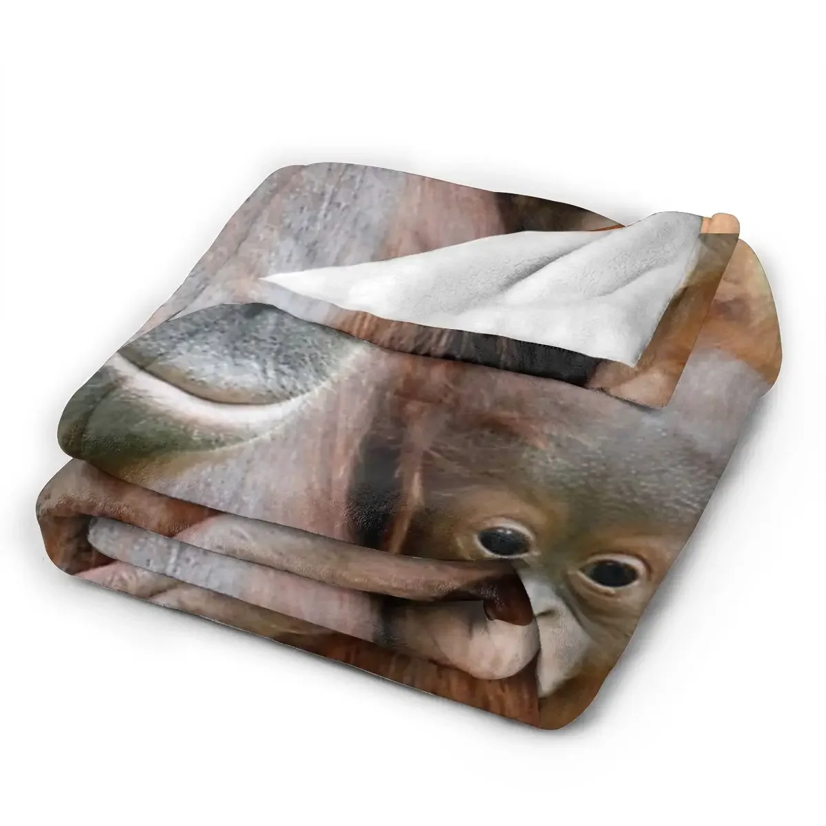 �ö��� ���ο� ���, OrangUtan 003 ���, �ε巯�� ħ��, ������ ���� ���, ħ�� �Ž� ��ũ�� ���� Ȩ ����