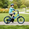 18 Inch Toddler Bike with Removable Training Wheels, Dual Brakes, Adjustable Seat & Handlebar, Suitable for Ages 3-8, Blue with