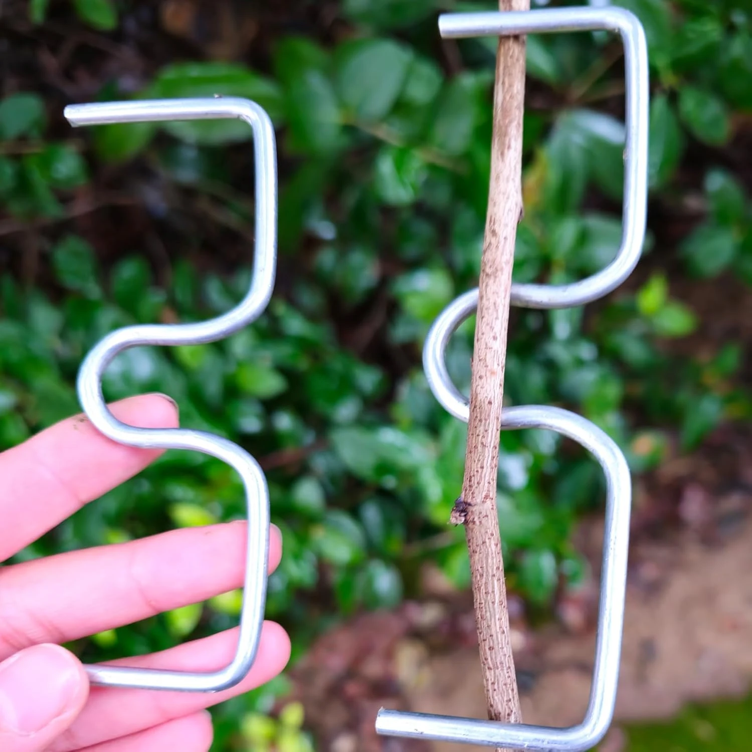 Fruit Tree Branch Shape Fixator Tree Branch Fixator Garden Yard Trees Support Holder Plants Vine Trainers M-Shaped Steel Wire Branch Bending Tools