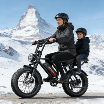 Adult Electric Bicycle 1