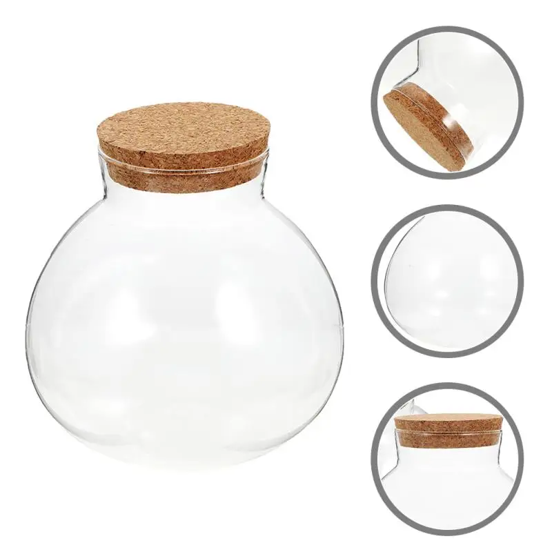 Description Picture 4 of itemDesktop Micro-landscape Bottle Vase Empty DIY Cork Plant Terrarium Decorative Landscaping Container Glass Jar with Lid