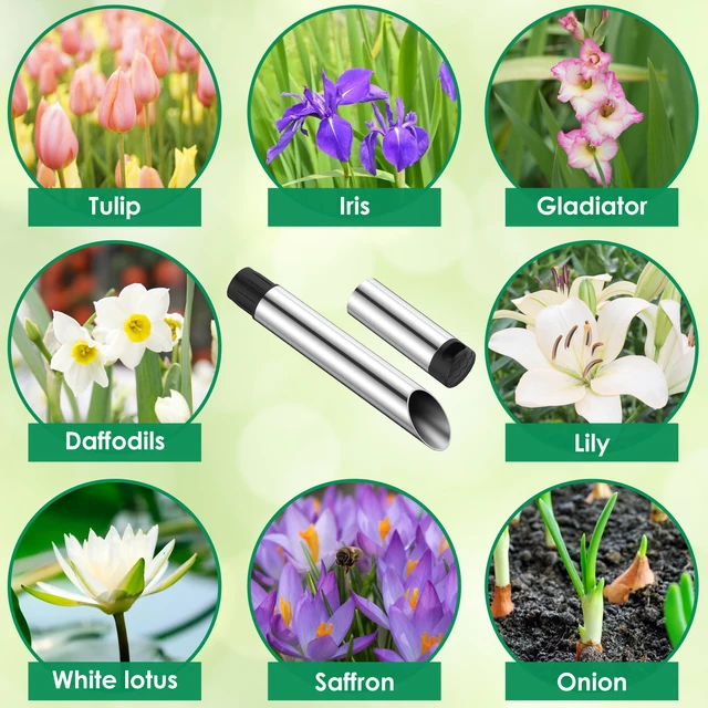 Vetőmag Ültetvény Szerszám Fém Palánták Átültető Kézi Lyuk Ásó Talajkibocsátás Virág Ültetési Szerszámok - Image 6