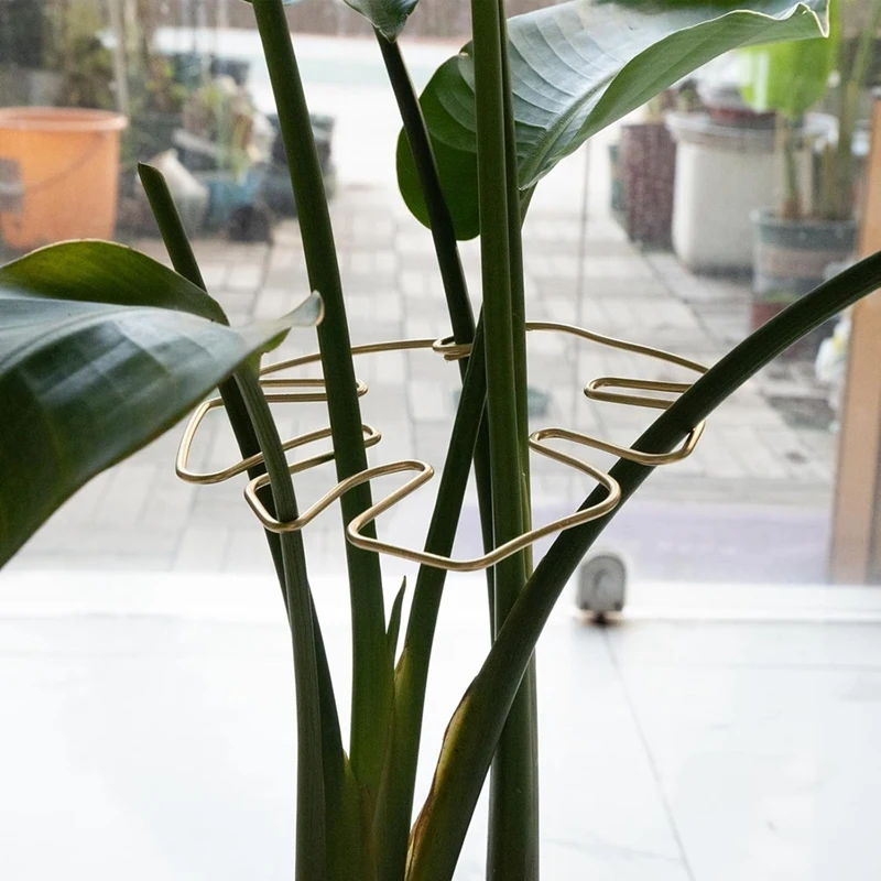 VEHO-Monstera Stem Support 5Pcs Plant Support System For Monstera & Turtle Shell Plants-Quality Leaf Clamps