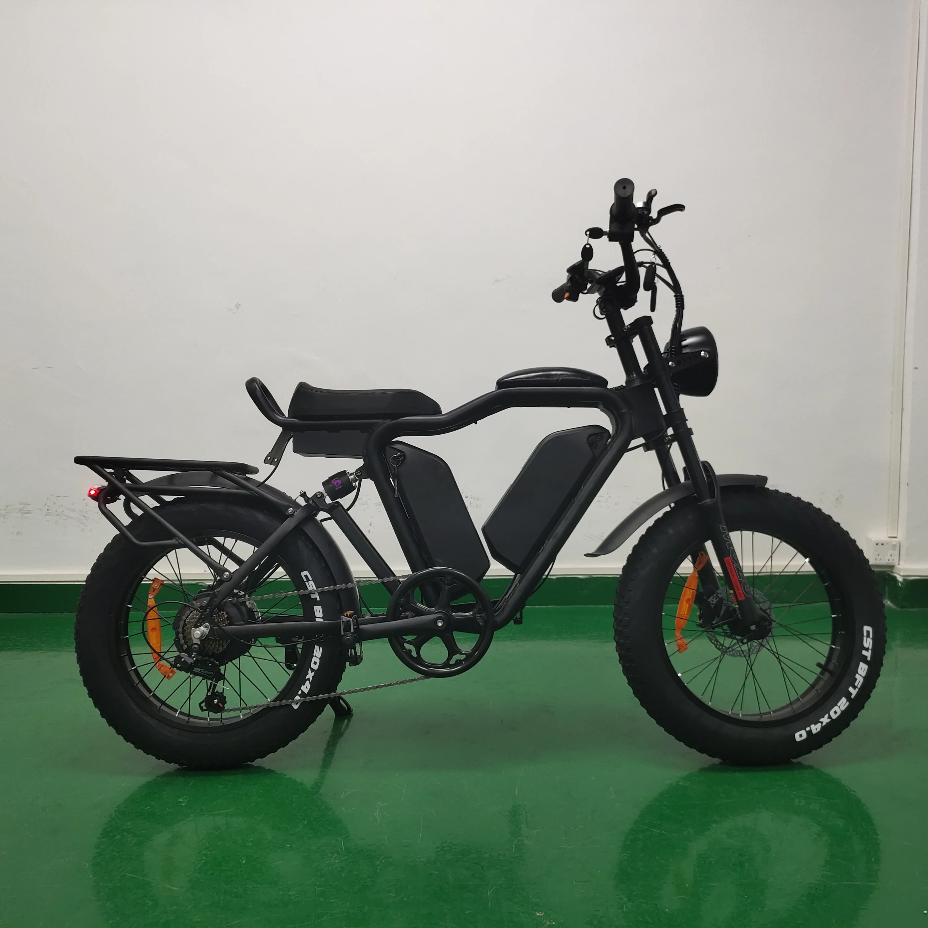 20inch 48v 22ah*2 Dual Lithium Battery 1000w Brushless Motor E Fat Tire Bike Ecycle Cargo Ebike Delivery Electric Bicycle
