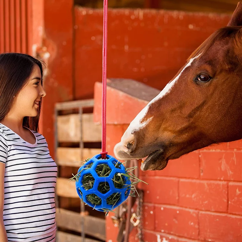 Jogar bola de jogo alegre jogar bola resistente ao desgaste do cavalo leve  portátil pc para o treinamento do cavalo donkeys cabras jogando - AliExpress