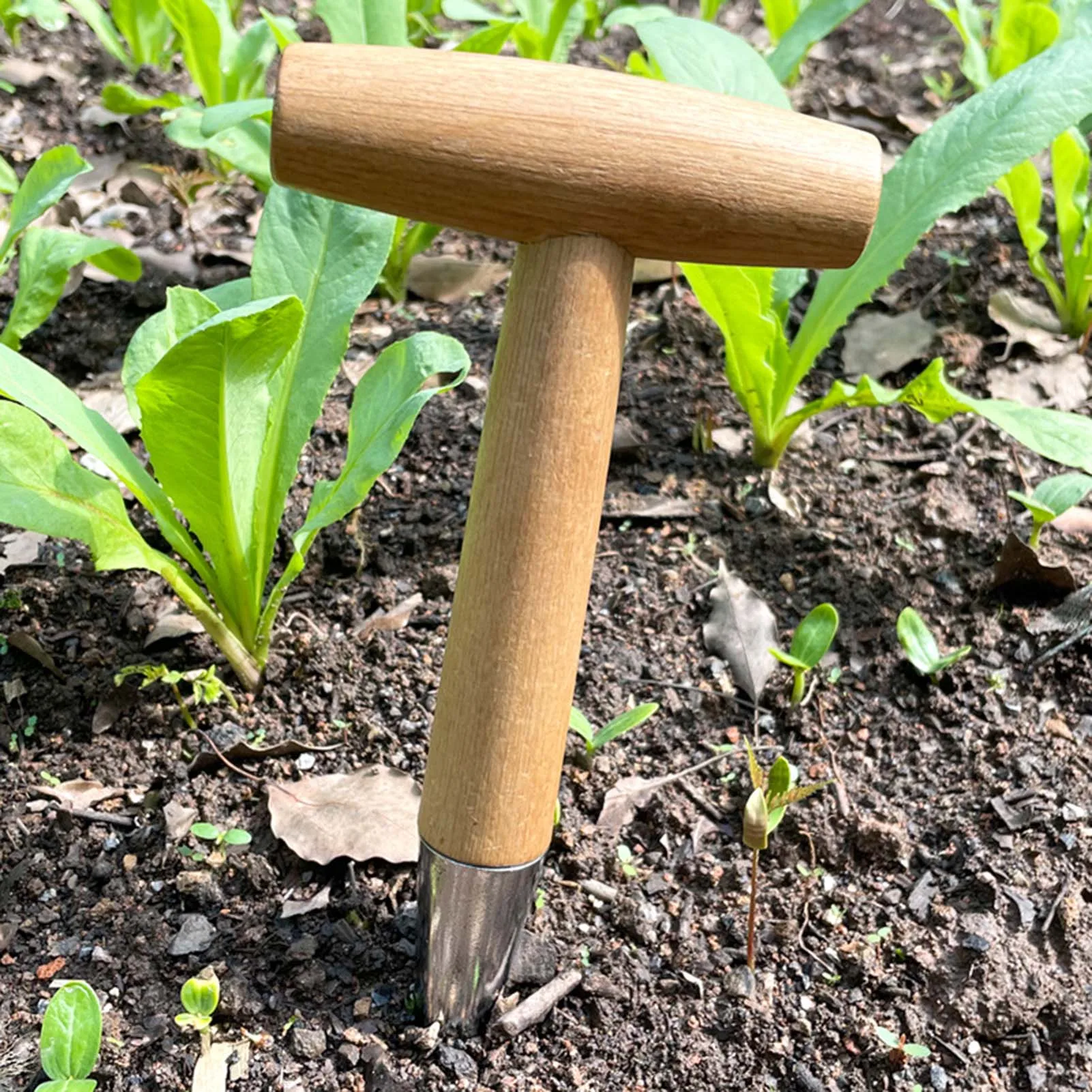 1Pc T-shaped Hand Sow Dibber, Stainless Steel Seed Disseminator With Wood Handle For Transplanting Plants,Planting Bulbs,Digging