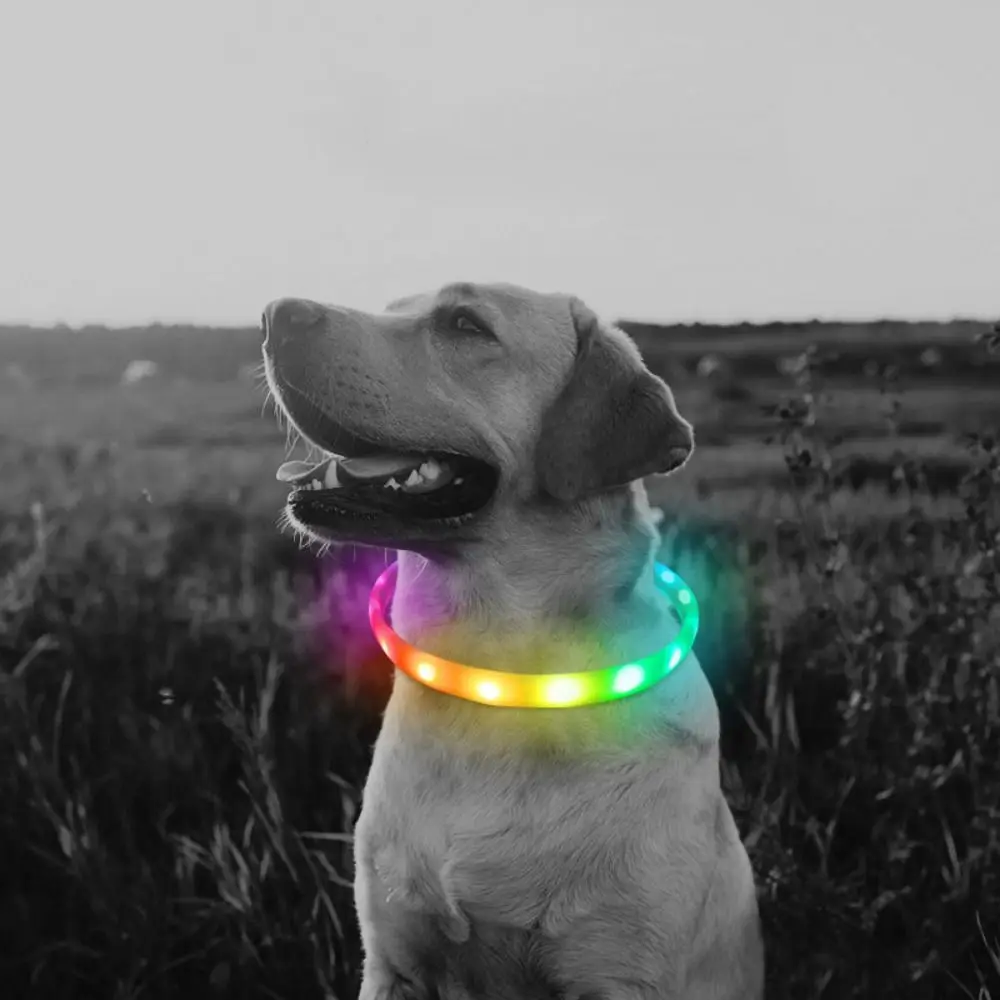 

Night Safety Light Up Dog Collars Type-C Rechargeable 9 Flashing Modes Anti-lost Collar Adjustable Water-Resistant