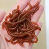 BURLE Lifelike Fishy Smell Red Soft Lures Simulation Earthworm Red Worms Artificial Fishing Lures 1
