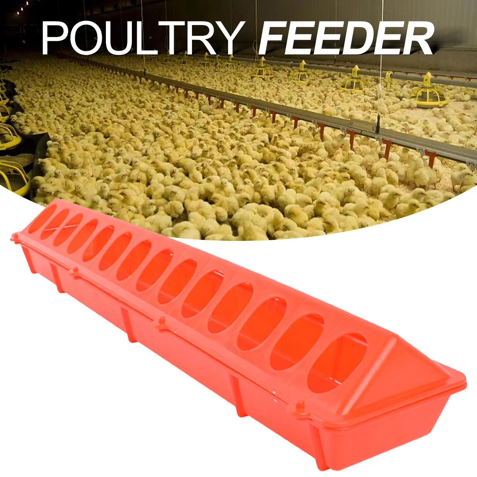 FlipTop Poultry Feeder Bird Feeding Long Trough Bucket Water Drinker