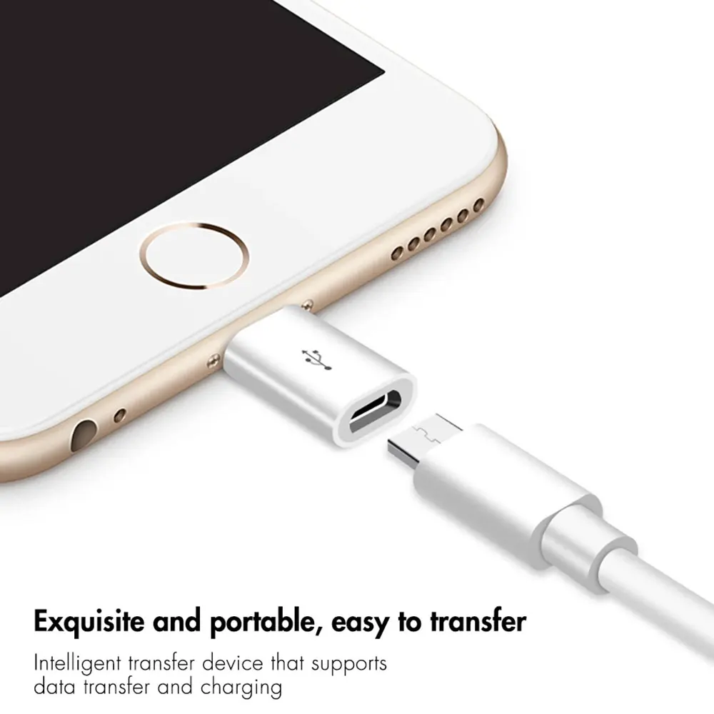 Рисунок 6 - Адаптер Lightning/Micro USB для