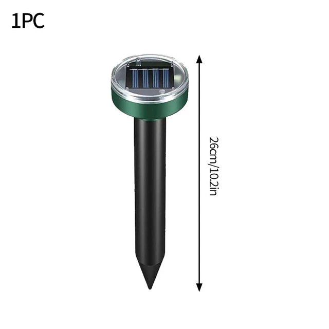 Circle 1pc