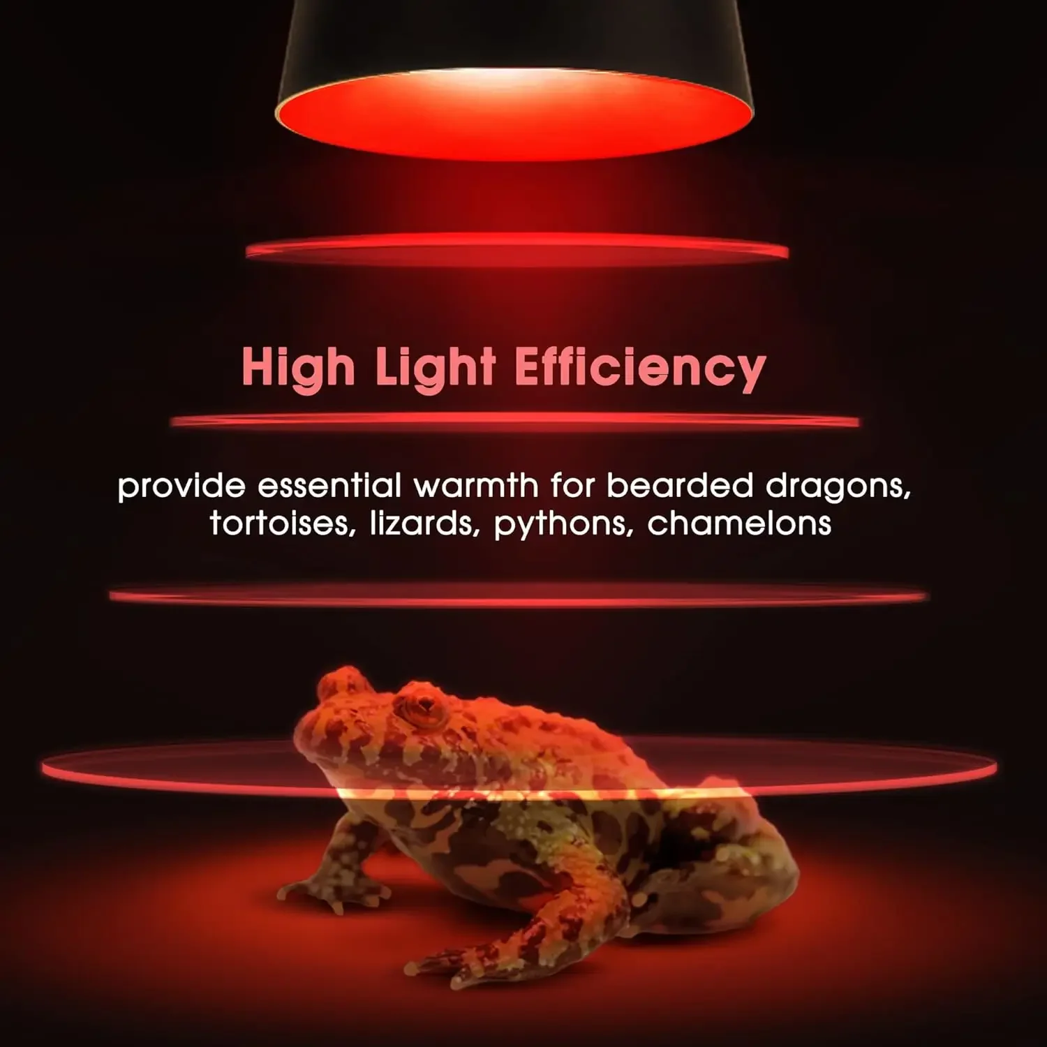 UVA+UVB Full Spectrum Heating Lamp Reptiles Box Turtle Sunbathing Lamps Amphibian Breeding Box Accessories Reptile Heating Lamp