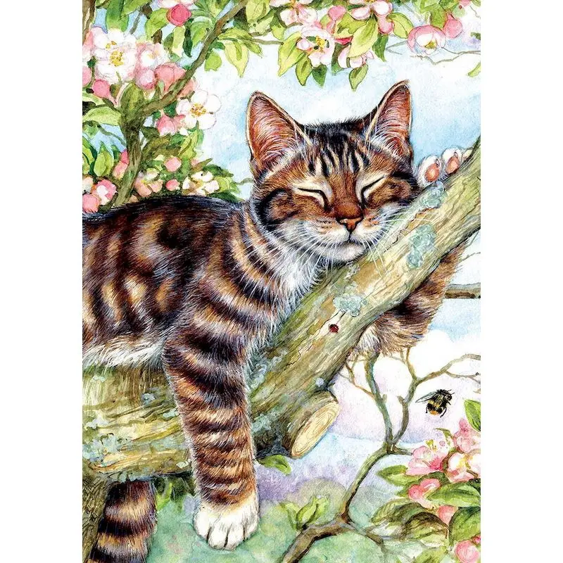 2pcs Paint By Numbers For Adults Kits Cartoon Cat And Horse Easy To Paint  On Canvas Acrylic Crafts Picture For Diy Gift 20x20cm/7.87x7.87inch With Fra