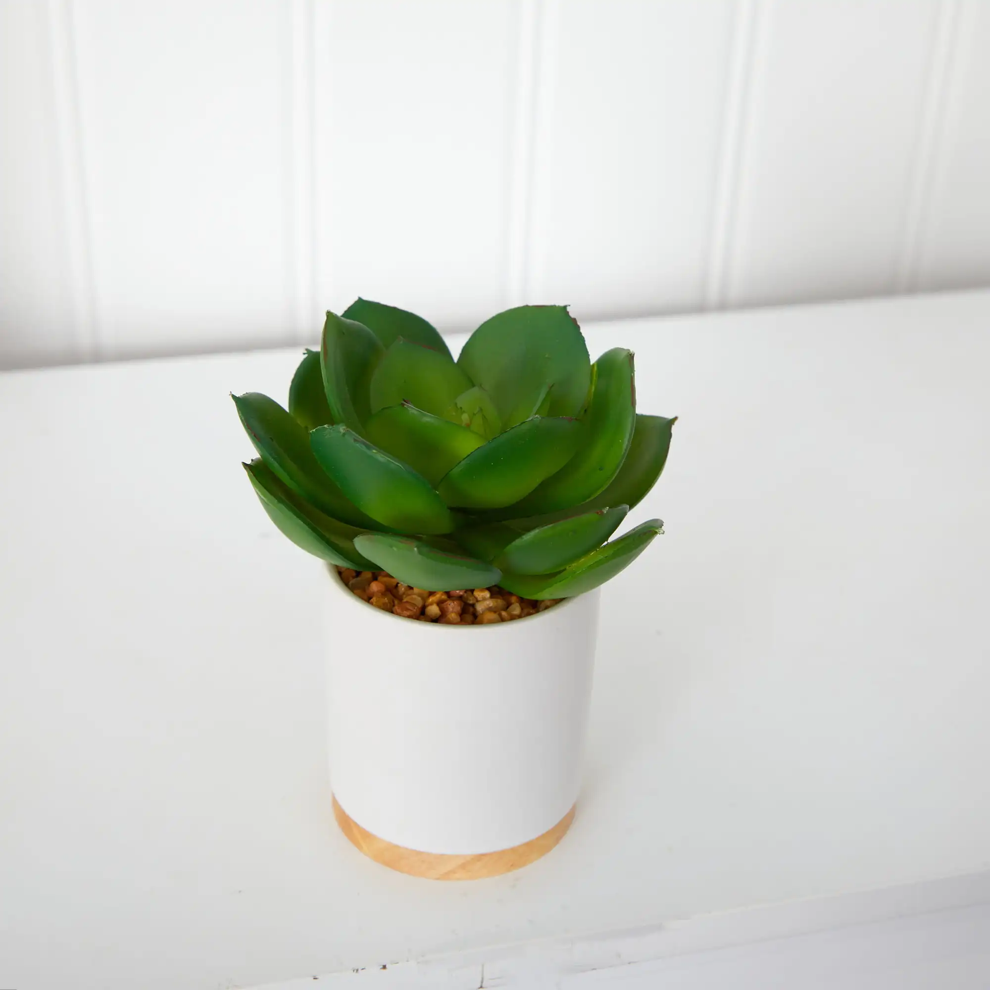 

Nearly Natural 6" Succulent Artificial Plant in White Ceramic Planter, Green