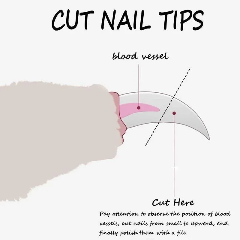 Must-Have Professional Grooming Tool: High-Quality, Durable, and Essential Stainless Steel Cat and Dog Nail Clipper-Precise Pa