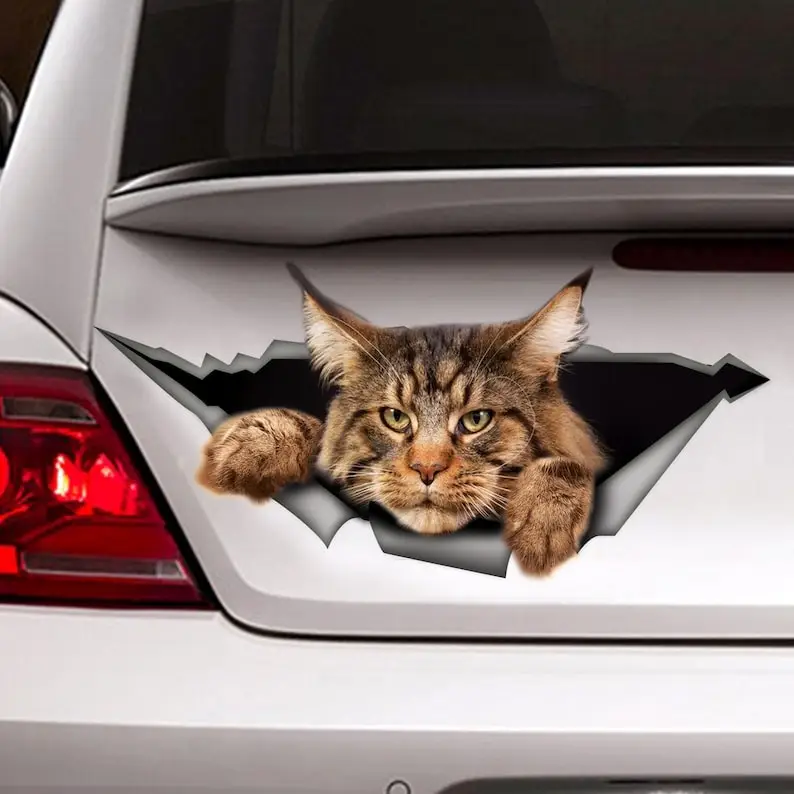 Maine Coon Car Decal, Maine Coon Magnet, Funny Sticker, Big Cat Car Sticker