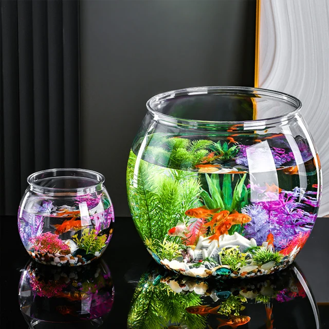 Ciotole per pesci rotonde ciotola per pesci rossi trasparente Mini acquario  per terrario per tartarughe da tavolo vasca per pesci rotonda vaso per  decorazioni per la casa - AliExpress