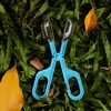 Transparent Insect Catcher Scissor Observe Handle Grip Clamp Tong Climbing Animal Kids Catcher Outdoor Exploration Toys 4