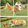 Interactive Ball Dog Toy Suitable for Aggressive Chewing Training, Stress Relief, Bite Sound Resistance, Plush Handle Dog Toy 5