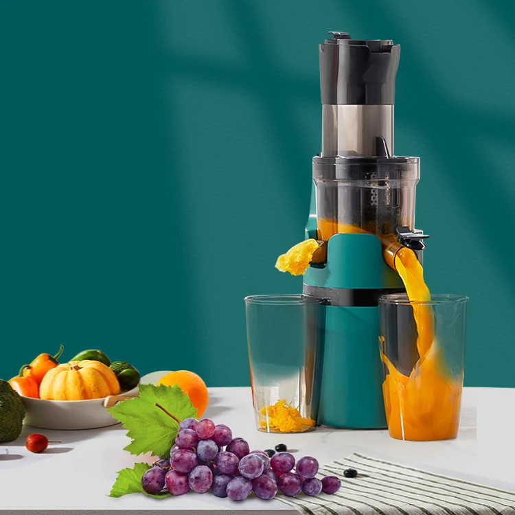 Kogan Cold Press Juicer Reliable Supplier clc.cet.edu