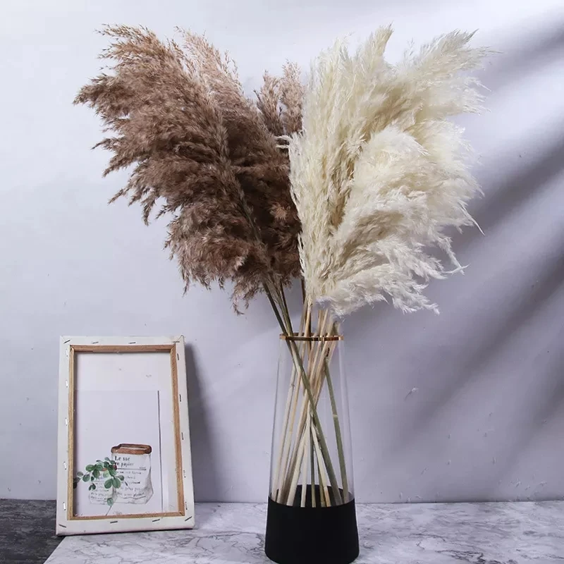 

20Pcs Natural Pampas Grass Wedding Dried Flower Bouquet Decorative Reed Boho Home Party Decor Decoration Arrangements