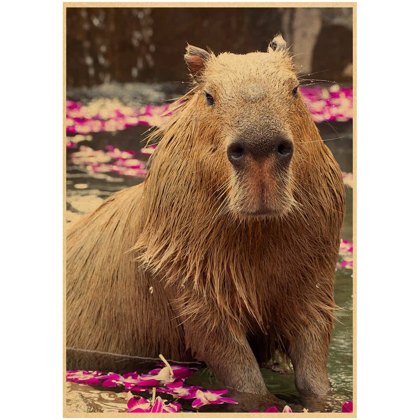 Kawaii Capybara Poster Tiere Poster Und Drucke Moderne Wand Kunst Bilder  Für Wohnzimmer Dekoration - AliExpress