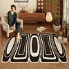 Irregular Rugs for Bedroom Light Luxury Living Room Decoration Thicken Carpet Home Plush Lounge Rug Large Area Anti-slip Mat 5