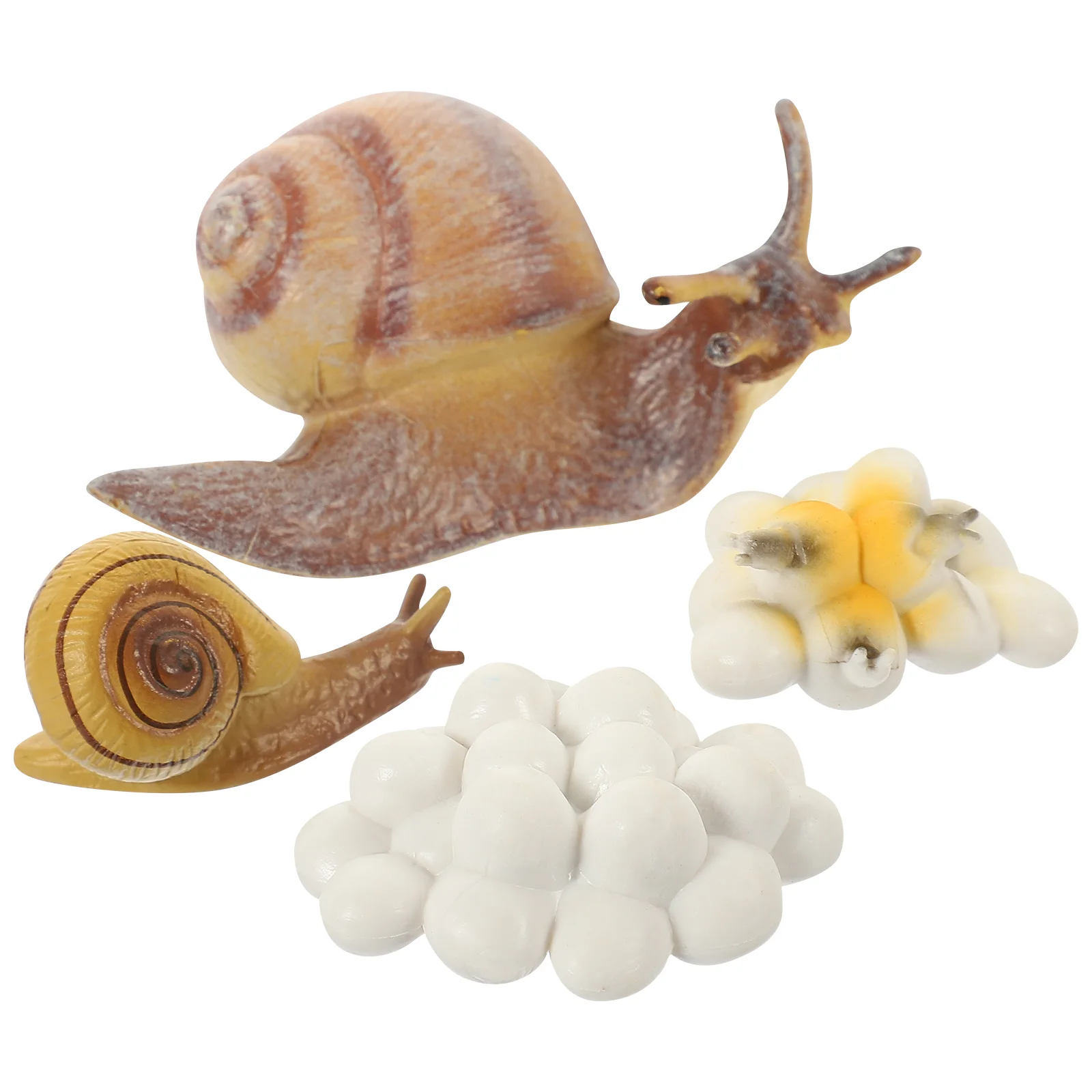 

of Creative Snail Growth Toys Toddlers Snail Learning Toys Lifelike Snail Learning Models Kids Toys (Random Style)