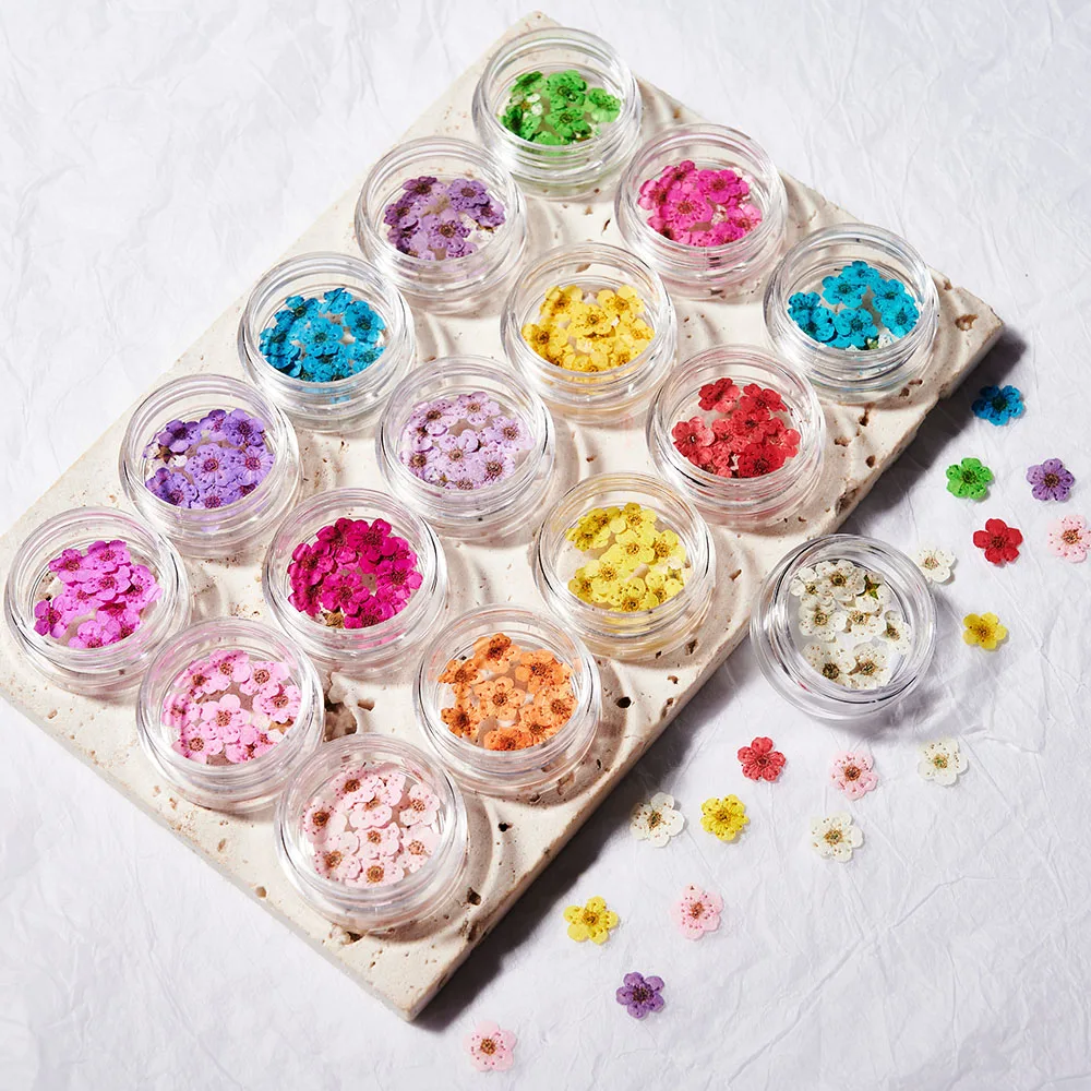 Dry Flower Nail Art Decoration  Decoration Dried Flowers Nails - 10pcs/jar  3d Flower - Aliexpress