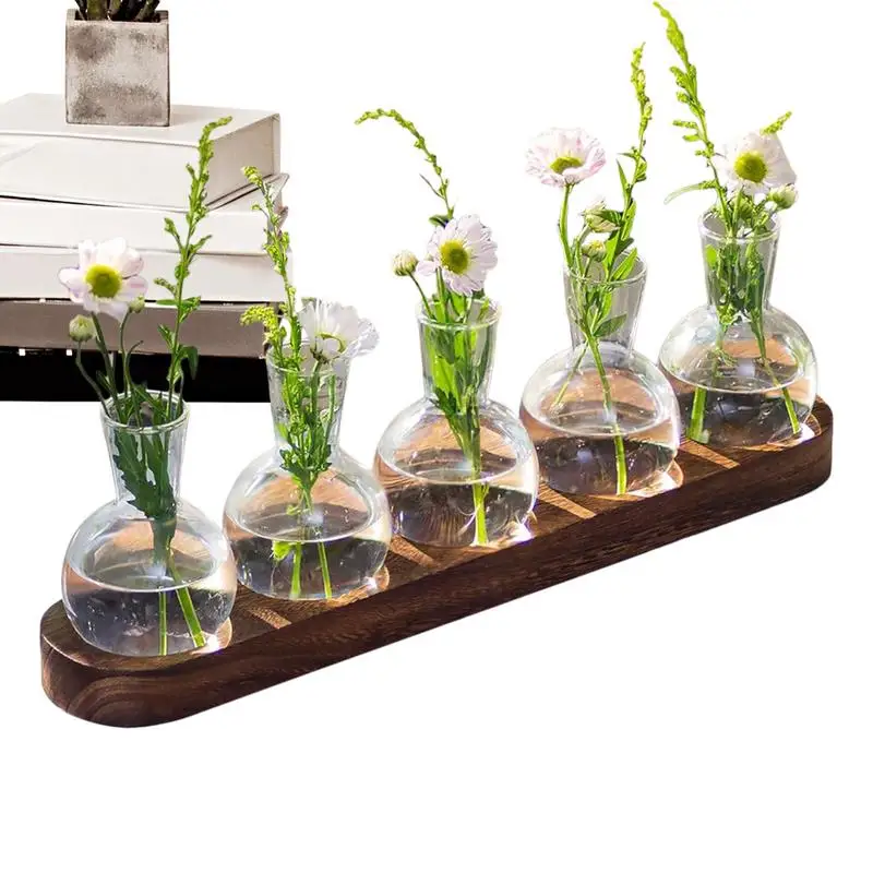 5 Bottle Glass Propagation Planter 2 | 5 Bottle Glass Propagation Planter 1