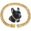 Dog Diamond Cuban Collar Walking Metal Chain iLovPets.com