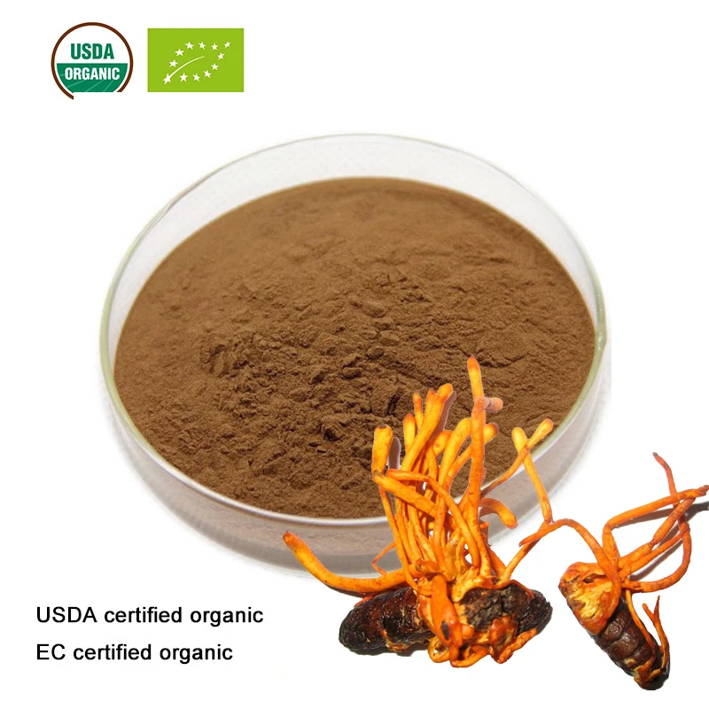 100% Cordyceps Militaris Estratto In Polvere 20:1